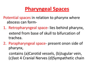 Pharyngeal Spaces
Potential spaces in relation to pharynx where
  abscess can form-
1. Retropharyngeal space- lies behind pharynx,
   extend from base of skull to bifurcation of
   trachea.
2. Parapharyngeal space- present onon side of
   pharynx,
   contains (a)Carotid vessels, (b)Jugular vein,
   (c)last 4 Cranial Nerves (d)Sympathetic chain
 