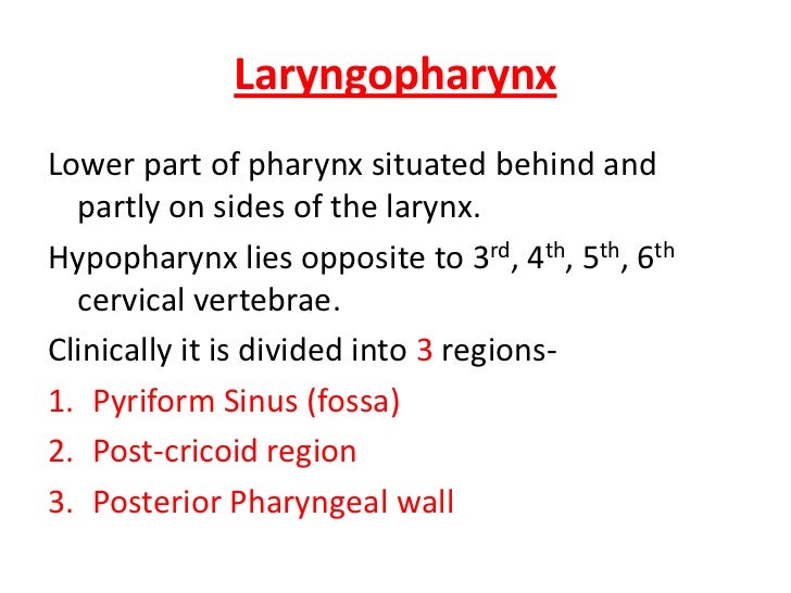Anatomy of pharynx