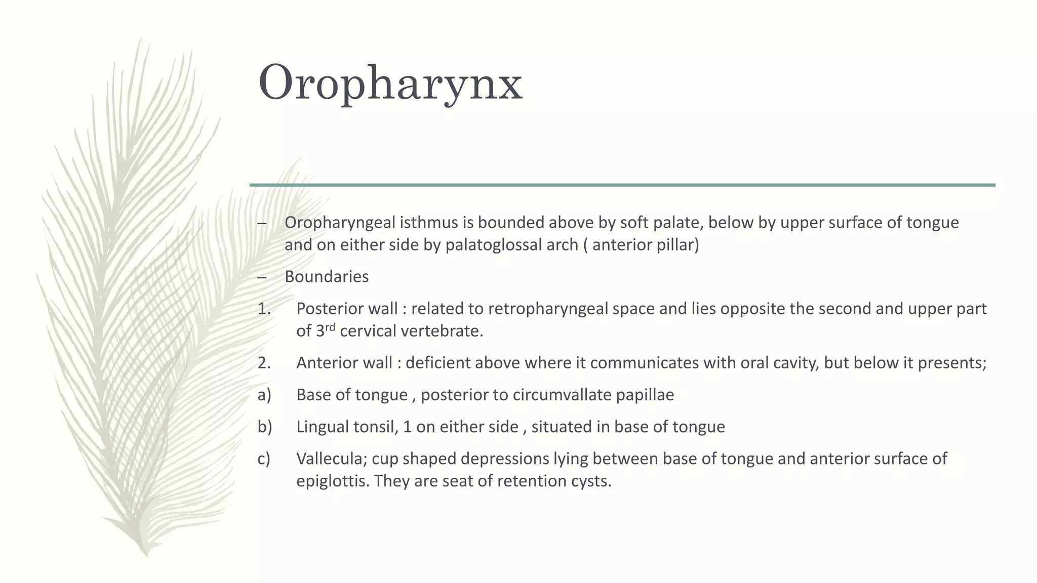 Anatomy of pharynx | PPTX