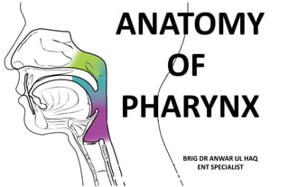 ANATOMY
OF
PHARYNX
BRIG DR ANWAR UL HAQ
ENT SPECIALIST
 