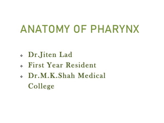 ANATOMY OF PHARYNX
 Dr.Jiten Lad
 First Year Resident
 Dr.M.K.Shah Medical
College
 