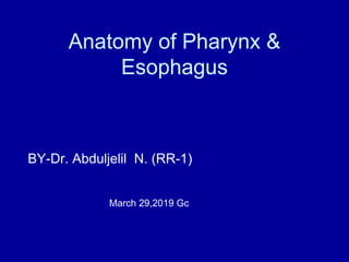Anatomy of Pharynx &
Esophagus
BY-Dr. Abduljelil N. (RR-1)
March 29,2019 Gc
 