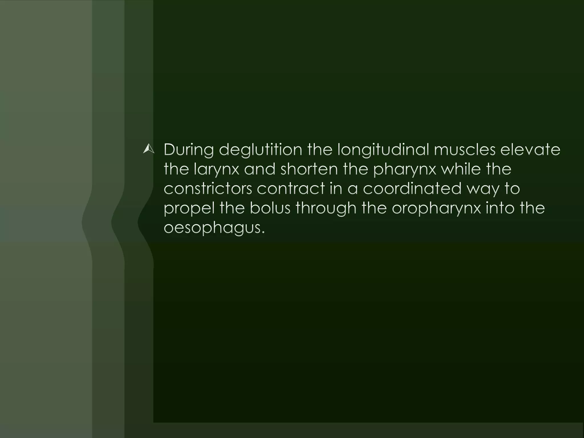 E.N.T.Anatomy of pharynx & neck spaces(dr.muaid) | PPTX