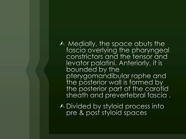 E.N.T.Anatomy of pharynx & neck spaces(dr.muaid) | PPTX
