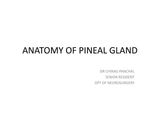 ANATOMY OF PINEAL GLAND
DR CHIRAG PANCHAL
SENIOR RESIDENT
DPT OF NEUROSURGERY
 