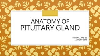 ANATOMY OF
PITUITARY GLAND
DR TANYA RASHID
ANATOMY DEPT
 