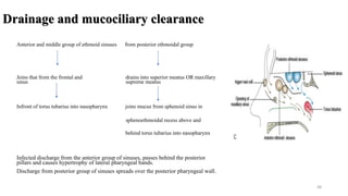 Anatomy of pns | PPTX