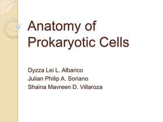 Anatomy of
Prokaryotic Cells
Dyzza Lei L. Albarico
Julian Philip A. Soriano
Shaina Mavreen D. Villaroza
 