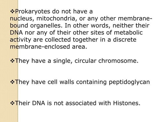 Anatomy of prokaryotic cells | PPTX