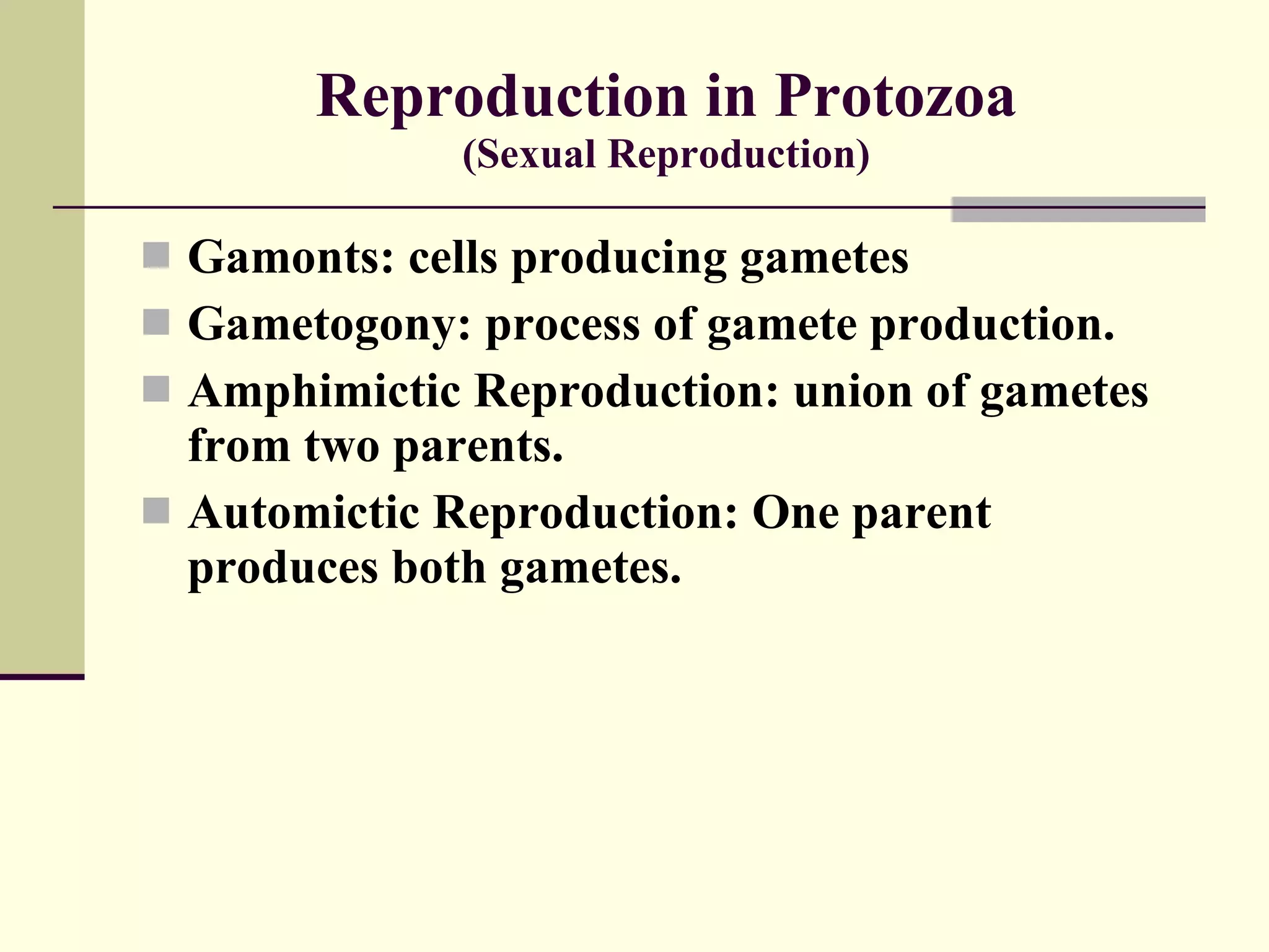 Reproduction in Protozoa (Sexual Reproduction) Gamonts: cells producing gametes Gametogony: process of gamete production. Amphimictic Reproduction: union of gametes from two parents. Automictic Reproduction: One parent produces both gametes. 