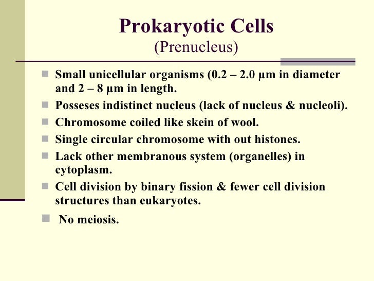 Various - Protozoa 2.0 - Interstellar Evolution Various - Protozoa 2.0 - Interstellar Evolution