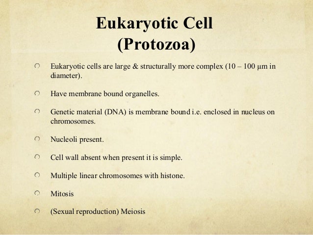 Various - Protozoa 2.0 - Interstellar Evolution Various - Protozoa 2.0 - Interstellar Evolution