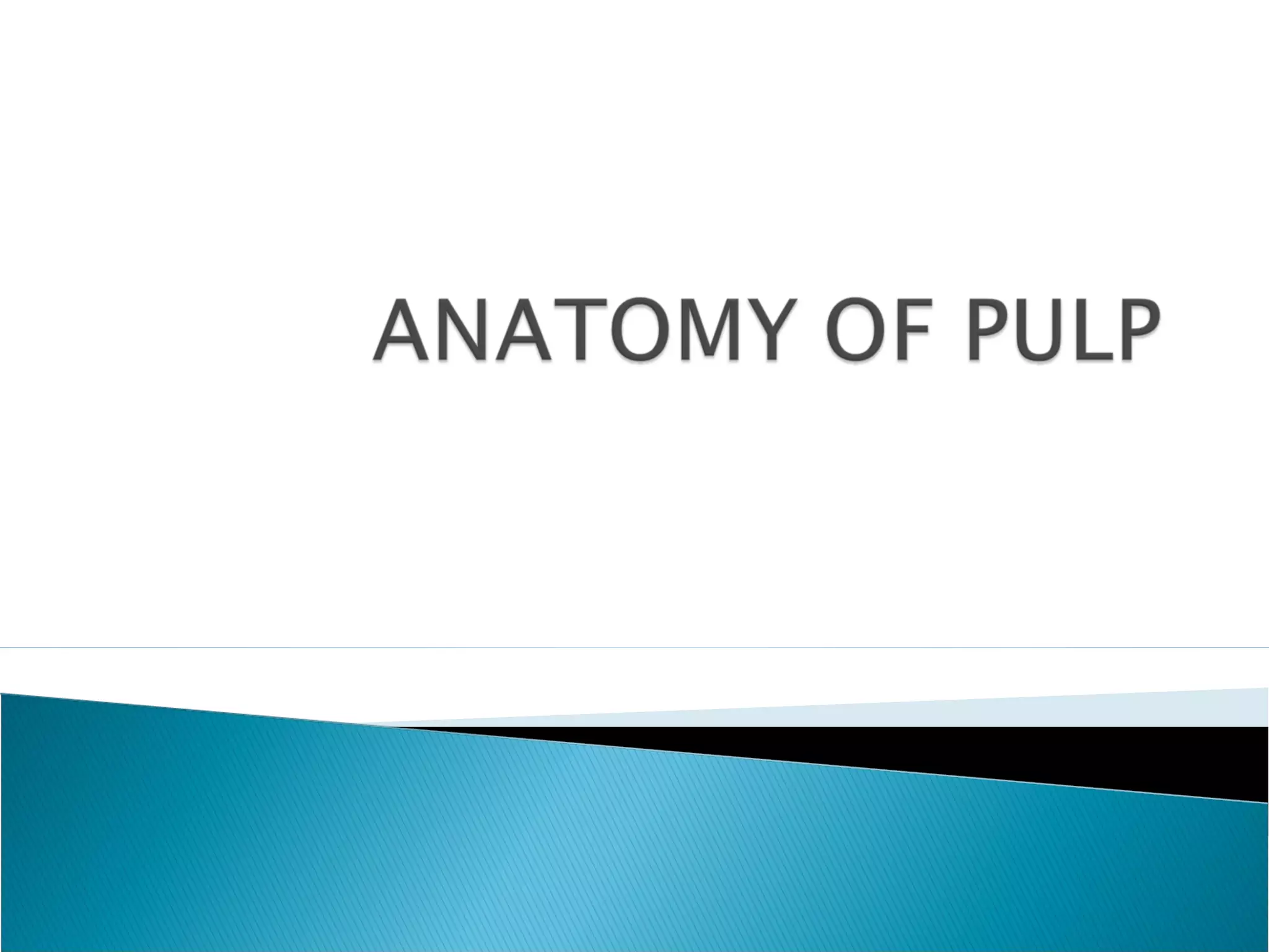 Anatomy of Dental Pulp | PPT