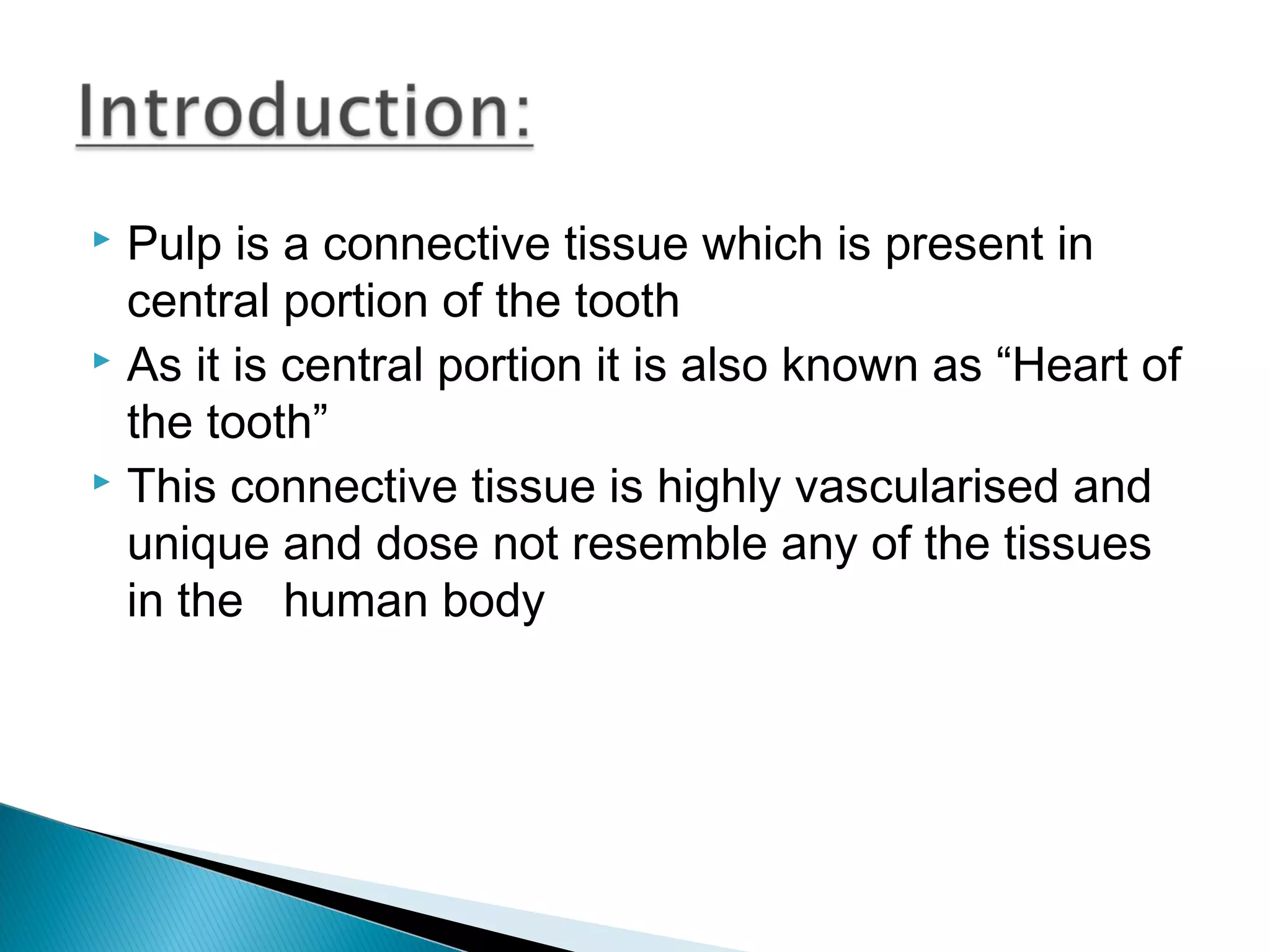 Anatomy of Dental Pulp | PPT
