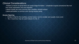 anatomy of pulp cavity and access opening.pptx