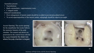 anatomy of pulp cavity and access opening.pptx