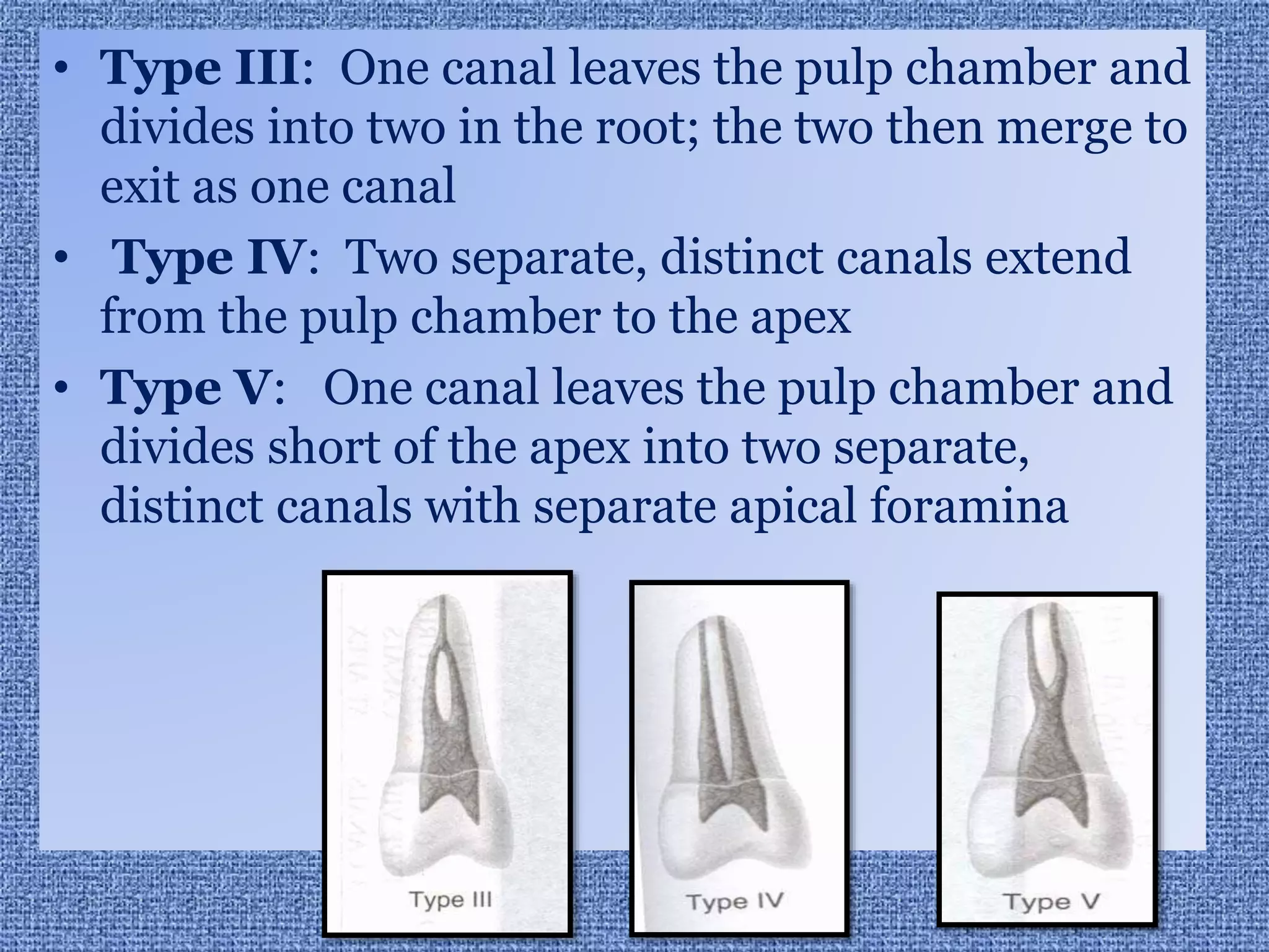 Anatomy of pulp cavity of maxillary teeth (2) | PPTX