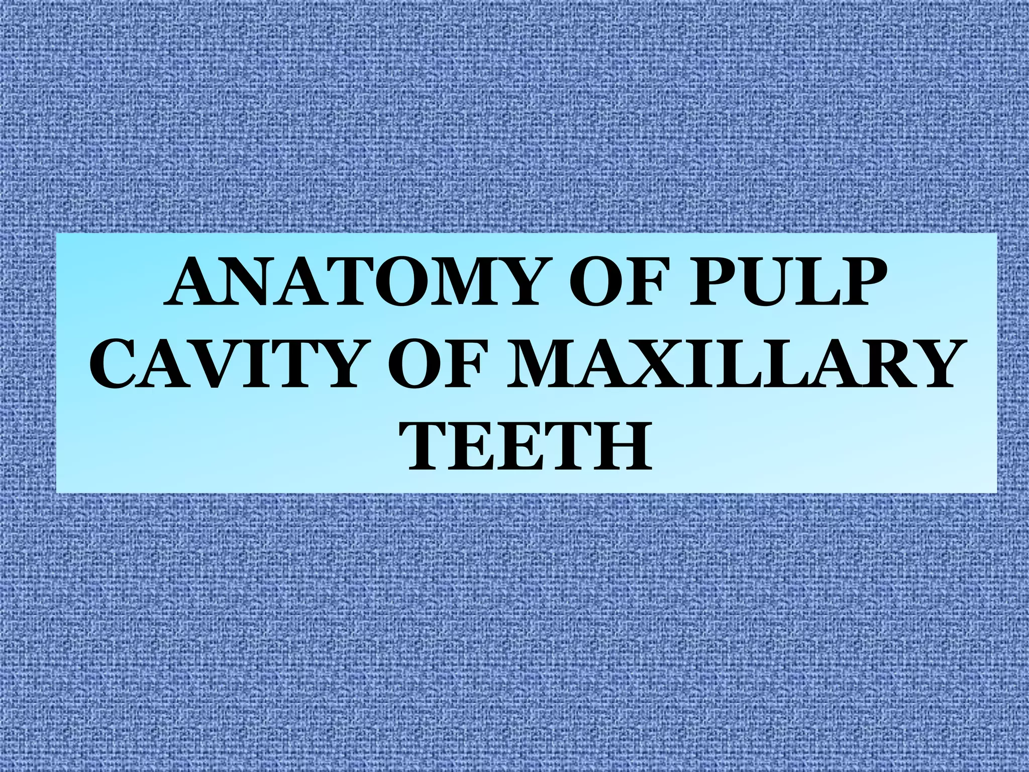 Anatomy of pulp cavity of maxillary teeth (2) | PPTX