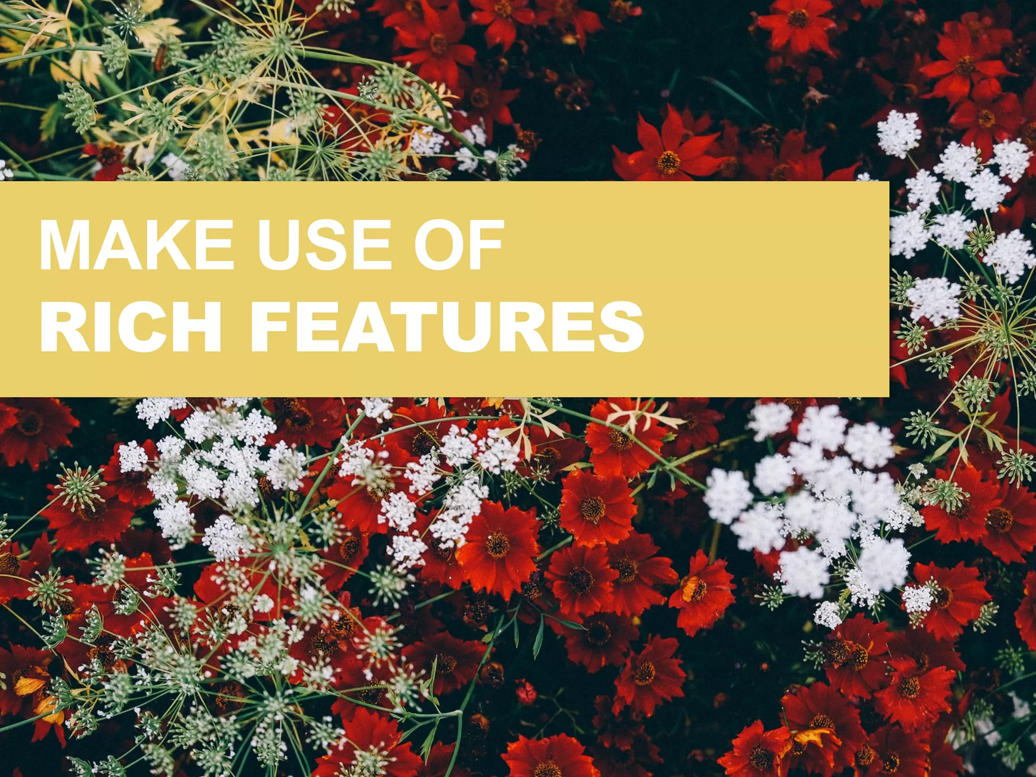 MAKE USE OF
RICH FEATURES
 