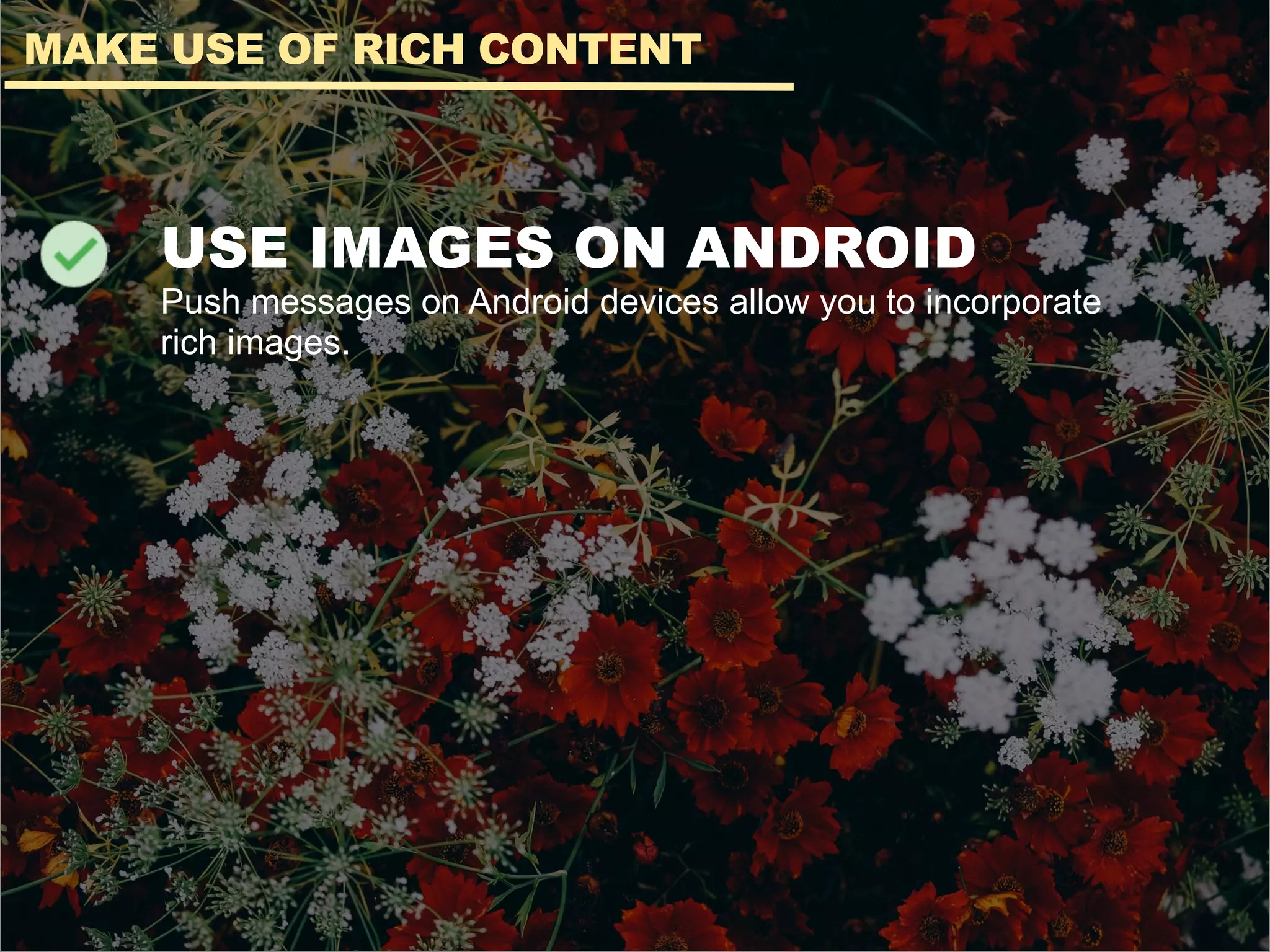 USE IMAGES ON ANDROID
Push messages on Android devices allow you to incorporate
rich images.
MAKE USE OF RICH CONTENT
 