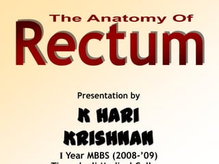 The Anatomy OfRectumPresentation byK Hari KrishnanI Year MBBS (2008-’09)Tirunelveli Medical CollegeTirunelveli, Tamilnadu, India