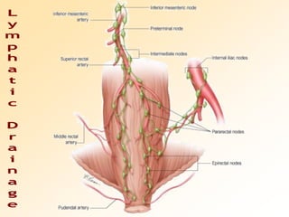 Lymphatic Drainage