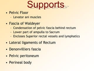 SupportsPelvic FloorLevator ani musclesFascia of WaldeyerCondensation of pelvic fascia behind rectumLower part of ampulla to SacrumEncloses Superior rectal vessels and lymphaticsLateral ligaments of RectumDenonvilliers fasciaPelvic peritoneumPerineal body