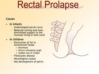 CausesIn infantsUndeveloped sacral curveReduced resting anal tone – diminished support to the mucosal lining of anal canalIn childrenDiminution of fat in ischiorectal fossaeDiarrhoeaSevere whooping coughSudden loss of weightFibrocystic diseaseNeurological causesMal-development of pelvisRectal Prolapse