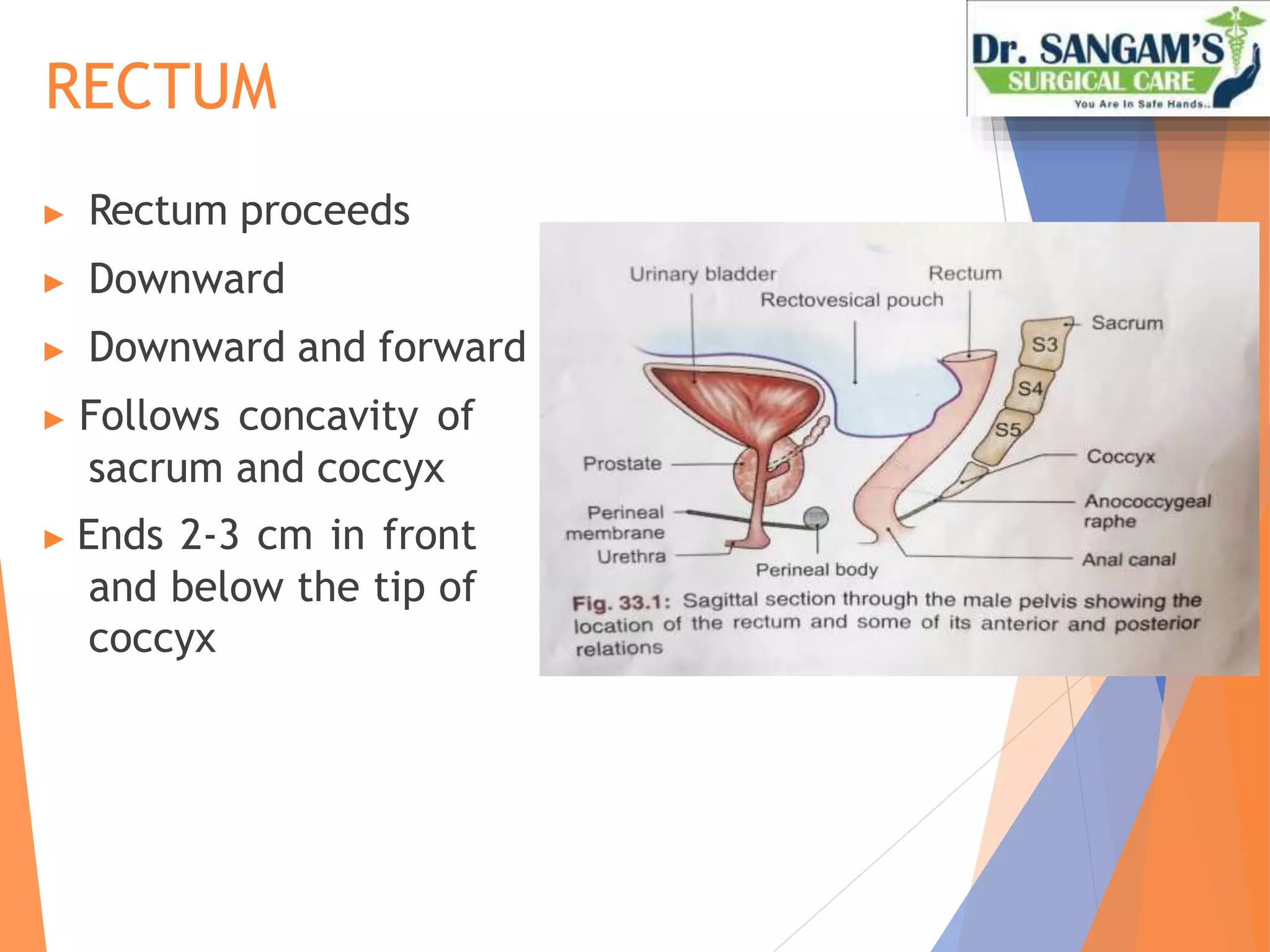 Rectal Part anatomy of rectum and analcanal pptx.pptx