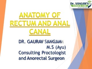 DR. GAURAV SANGAM
M.S (Ayu)
Consulting Proctologist
and Anorectal Surgeon
 