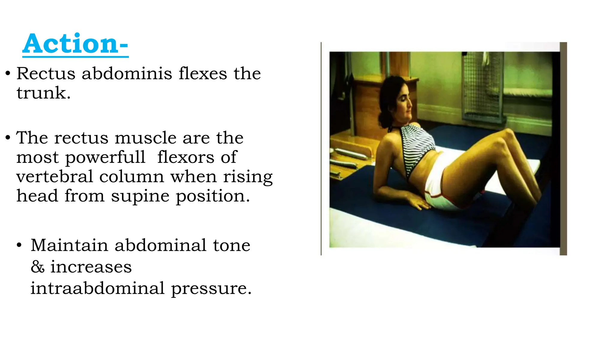ANATOMY OF RECTUS in OBST AND GYNAE.pptx