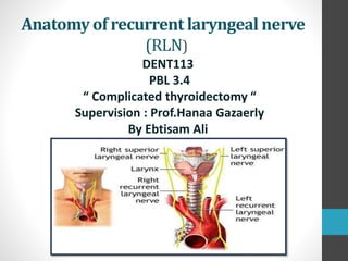 Anatomy of recurrent laryngeal nerve 
(RLN) 
DENT113 
PBL 3.4 
“ Complicated thyroidectomy “ 
Supervision : Prof.Hanaa Gazaerly 
By Ebtisam Ali 
 
