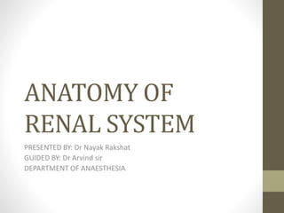 ANATOMY OF RENAL SYSTEM.pptx Biology Diagrams