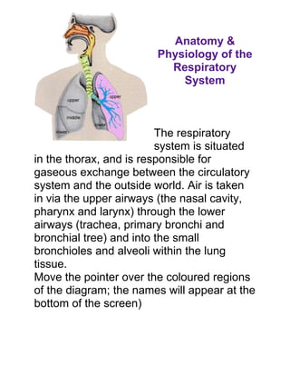 Anatomy &
                        Physiology of the
                          Respiratory
                            System



                         The respiratory
                         system is situated
in the thorax, and is responsible for
gaseous exchange between the circulatory
system and the outside world. Air is taken
in via the upper airways (the nasal cavity,
pharynx and larynx) through the lower
airways (trachea, primary bronchi and
bronchial tree) and into the small
bronchioles and alveoli within the lung
tissue.
Move the pointer over the coloured regions
of the diagram; the names will appear at the
bottom of the screen)
 