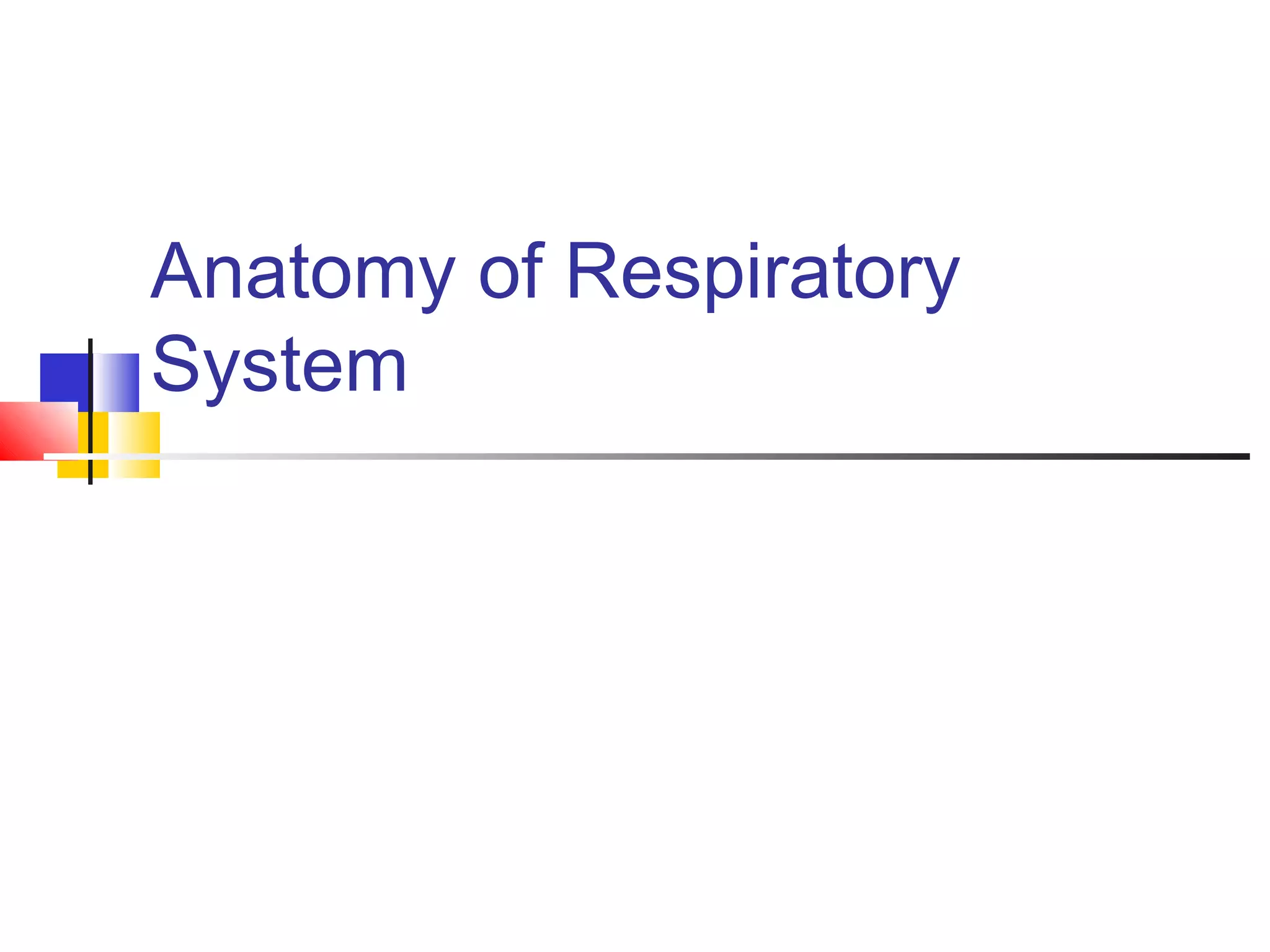 Anatomy of respiratory system | PPT
