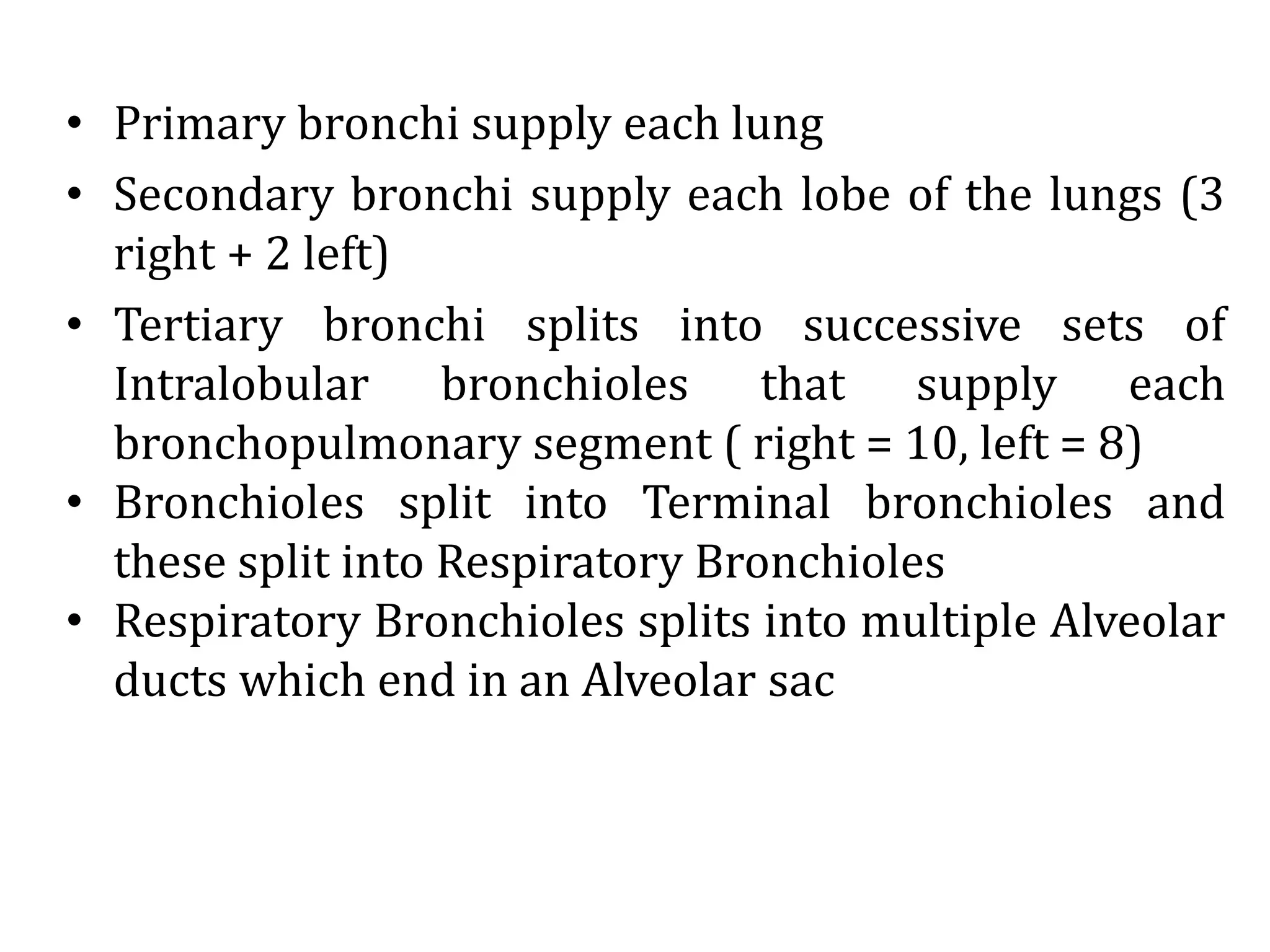 Respiratory System - Anatomy | PPSX