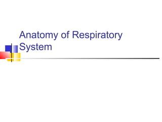 Anatomy of Respiratory
System
 