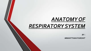 ANATOMY OF
RESPIRATORY SYSTEM
BY :
MMANTTHAN PUROHIT
 