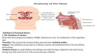 Anatomy of respiratory system in Pediatrics View.pptx