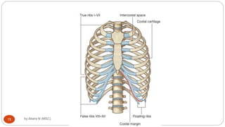 Anatomy of Respiratory system for MD [Autosaved].ppt