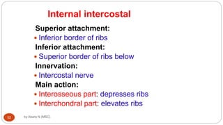 Anatomy of Respiratory system for MD [Autosaved].ppt