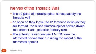 Anatomy of Respiratory system for MD [Autosaved].ppt