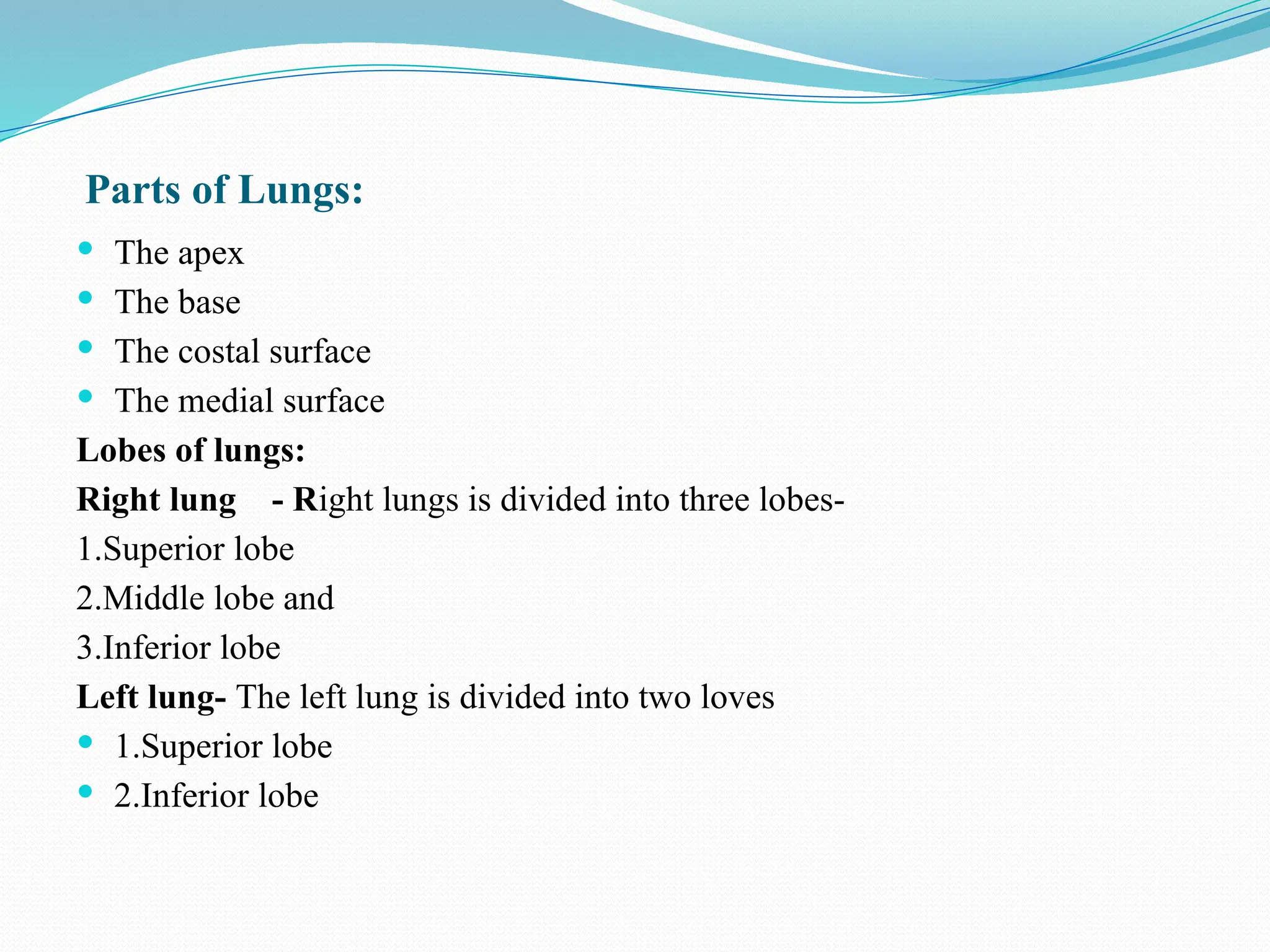 ANATOMY OF RESPIRATORY TRACT upper and lower tract | PPTX