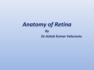 Anatomy of Retina 
By 
Dr.Ashok Kumar Valuroutu 
 