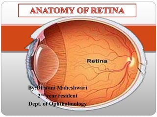 By:Dhwani Maheshwari
2nd year resident
Dept. of Ophthalmology
 