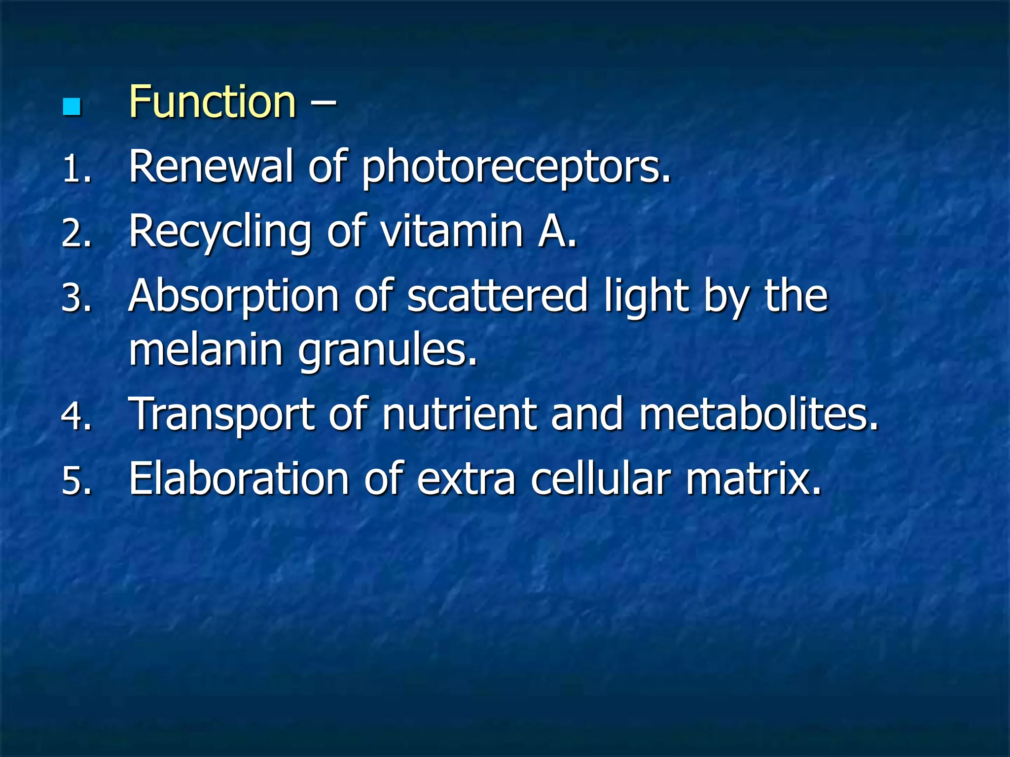  Function –
1. Renewal of photoreceptors.
2. Recycling of vitamin A.
3. Absorption of scattered light by the
melanin granules.
4. Transport of nutrient and metabolites.
5. Elaboration of extra cellular matrix.
 