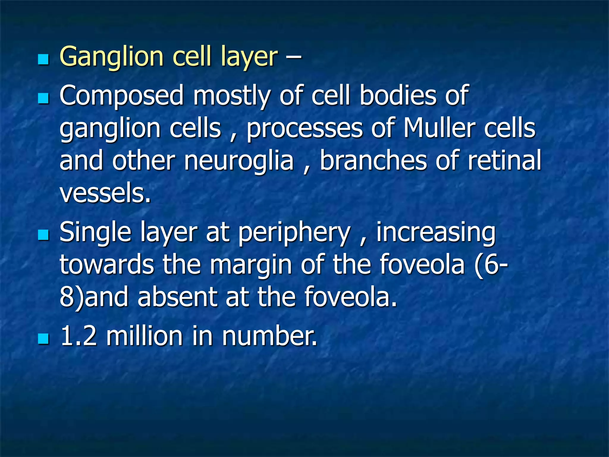  Ganglion cell layer –
 Composed mostly of cell bodies of
ganglion cells , processes of Muller cells
and other neuroglia , branches of retinal
vessels.
 Single layer at periphery , increasing
towards the margin of the foveola (6-
8)and absent at the foveola.
 1.2 million in number.
 