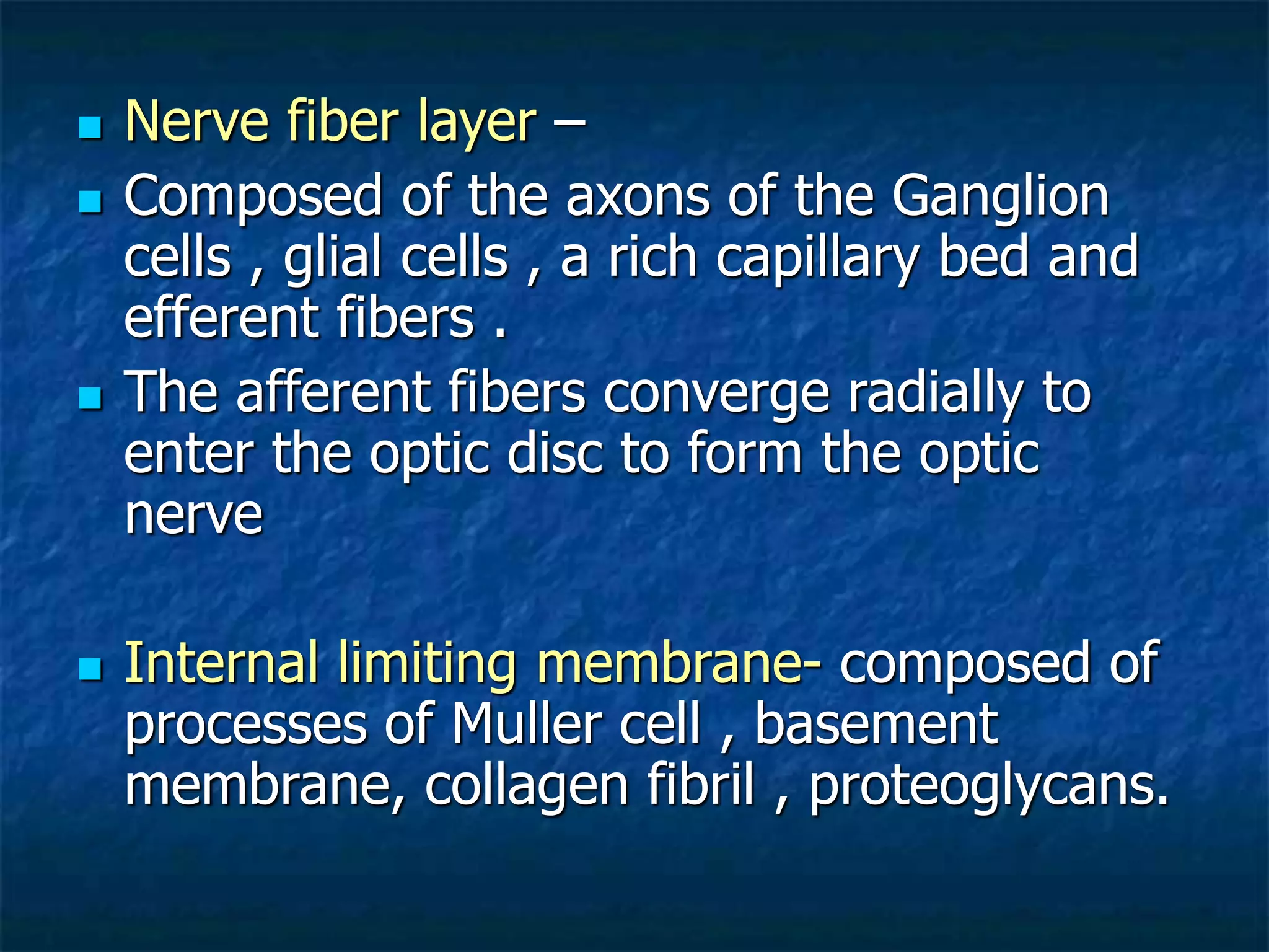  Nerve fiber layer –
 Composed of the axons of the Ganglion
cells , glial cells , a rich capillary bed and
efferent fibers .
 The afferent fibers converge radially to
enter the optic disc to form the optic
nerve
 Internal limiting membrane- composed of
processes of Muller cell , basement
membrane, collagen fibril , proteoglycans.
 