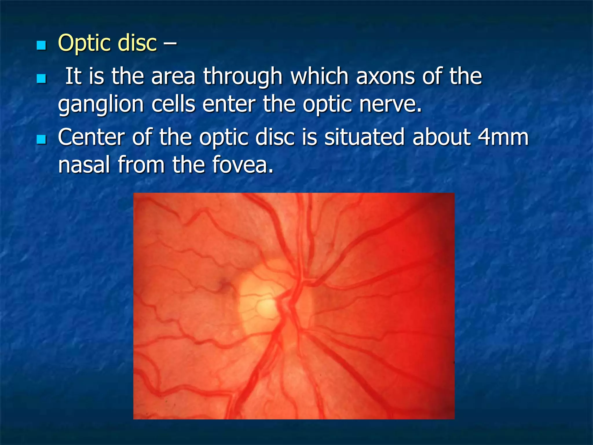  Optic disc –
 It is the area through which axons of the
ganglion cells enter the optic nerve.
 Center of the optic disc is situated about 4mm
nasal from the fovea.
 
