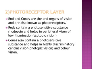 Anatomy of retina.pptx
